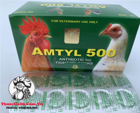 Thuốc Trị Bệnh Cho Gà AMTYL 500 Chuyên Trị Các Bệnh Về Đường Hô Hấp Cực Tốt - 1 Vỉ 10 Viên