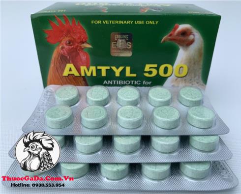 Thuốc Trị Bệnh Cho Gà AMTYL 500 Chuyên Trị Các Bệnh Về Đường Hô Hấp Cực Tốt - 3 Vỉ x 10 Viên