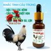 diclacoc-khac-tinh-cau-trung-giai-phap-dac-tri-hieu-qua-benh-cau-trung-cho-ga-choi-ga-da - ảnh nhỏ  1