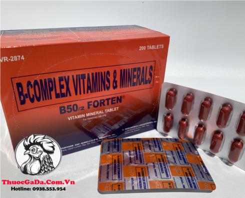 Thuốc Nuôi Gà Đá B-Complex B50/2 FORTEN Cung Cấp Hổn Hợp Các Vitamin Và Khoáng Chất - 2 Vỉ x 10 Viên