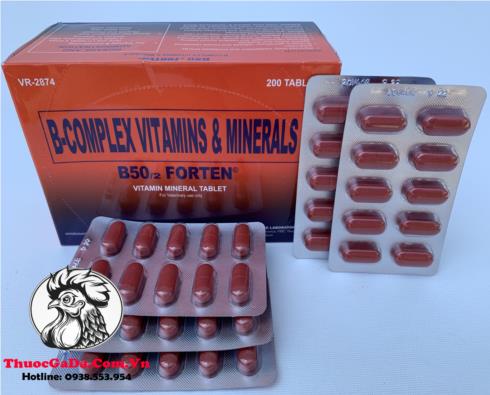 Thuốc Nuôi Gà Đá B-Complex B50/2 FORTEN Cung Cấp Hổn Hợp Các Vitamin Và Khoáng Chất - 5 Vỉ x 10 Viên
